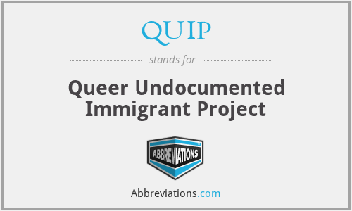 What does undocumented immigrant stand for?
